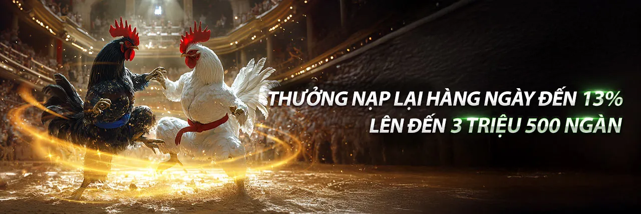 Tin tức mới nhất từ MB8888 nhà cái